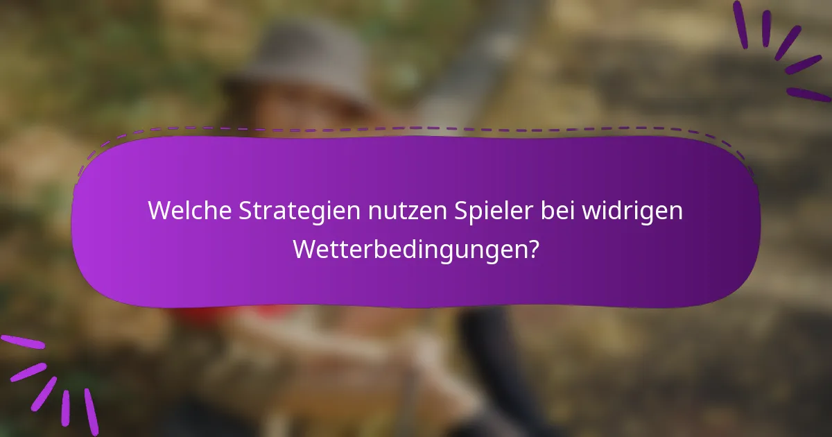 Welche Strategien nutzen Spieler bei widrigen Wetterbedingungen?
